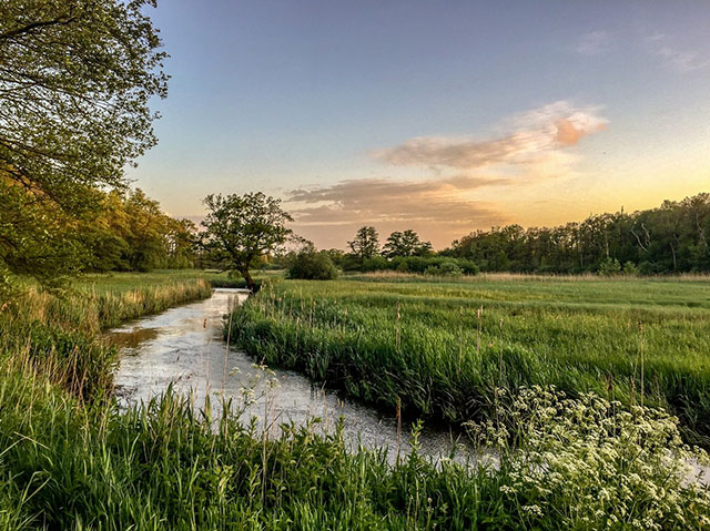 Dauwtrappen langs de Drentsche Aa