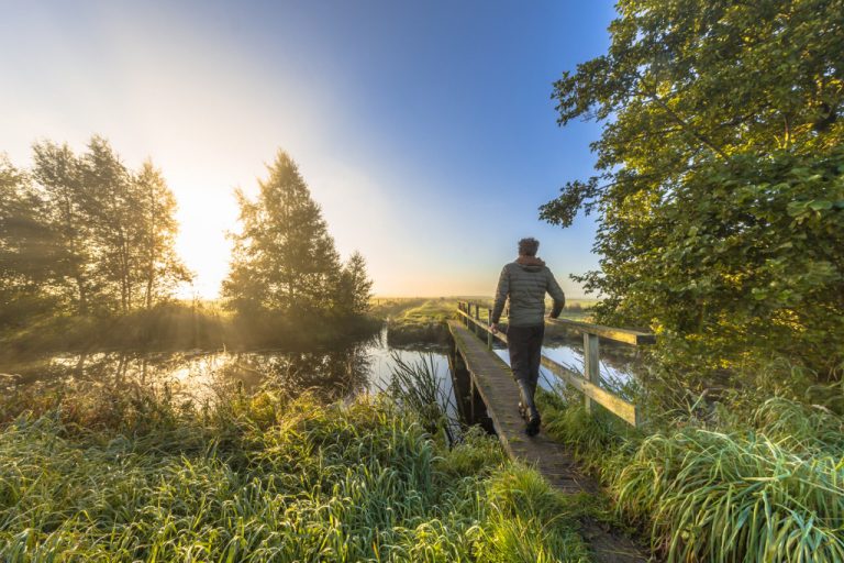 Natuur en Milieufederatie