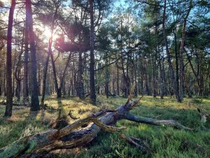 Nationaal Park Drentsche Aa