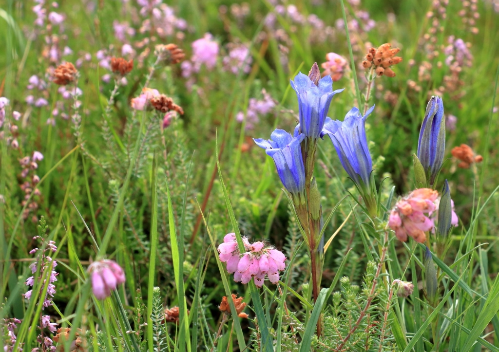 Nationaal Park Drentsche Aa