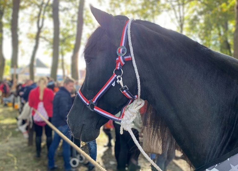Aangenaam weer en goede sfeer tijdens 825ste Zuidlaardermarkt