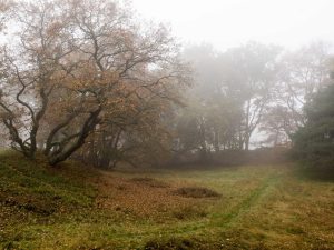 Nationaal Park Drentsche Aa