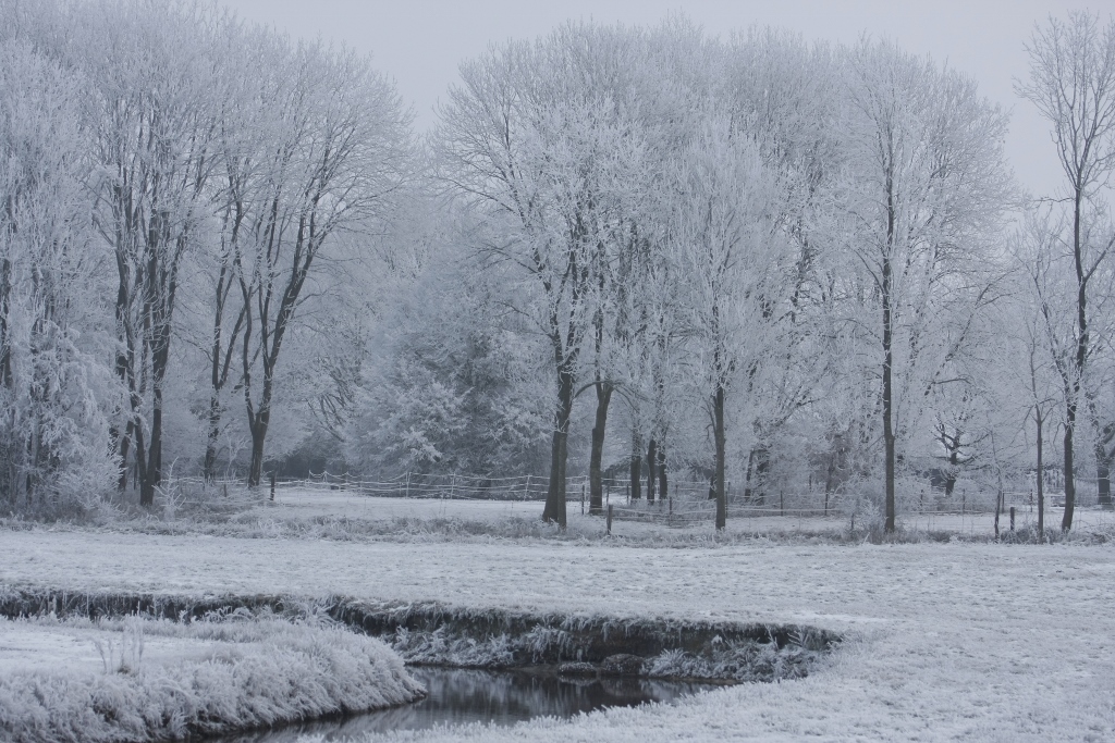Winterwandeling Landgoed Terborgh