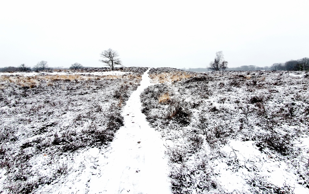 Nationaal Park Drenthe Aa