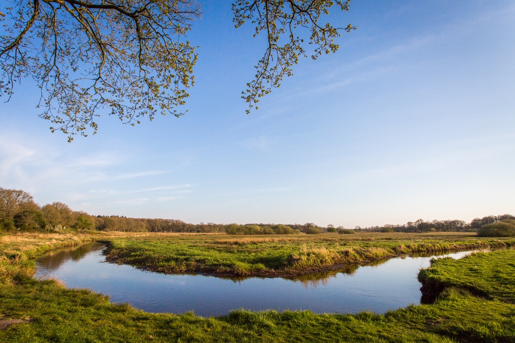 Wandel mee langs het dal van het Schipborgsche diep en door de strubben