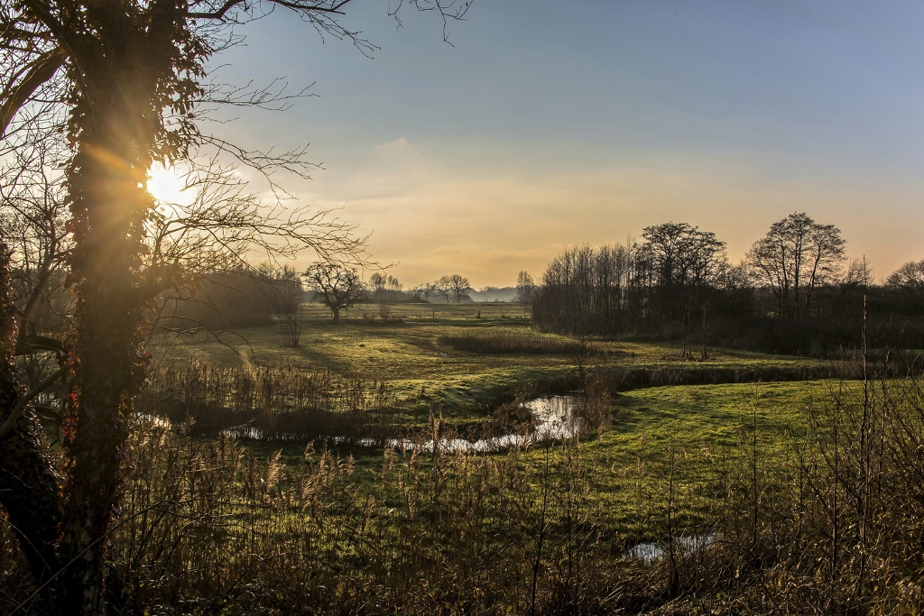 Uitbuiken langs het Scheebroekerloopje