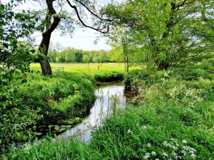 Nationaal Park Drentsche Aa