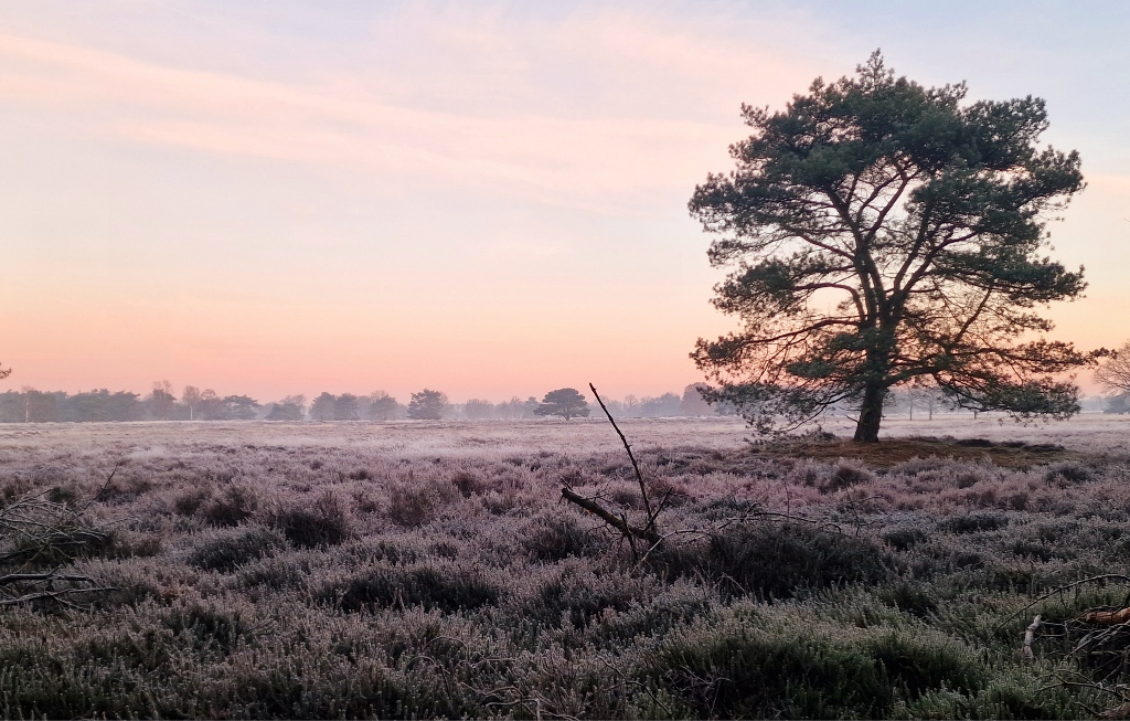 Nationaal Park Drentsche Aa Heide