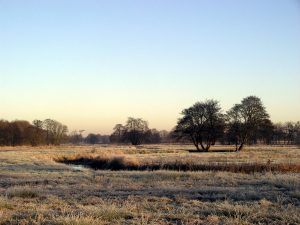 Nationaal Park Drentsche Aa