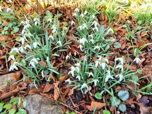 Nationaal Park Drentsche Aa