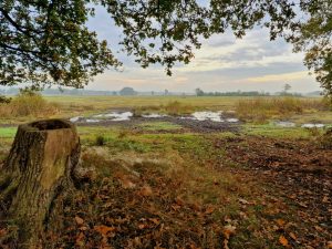 Nationaal Park Drentsche Aa