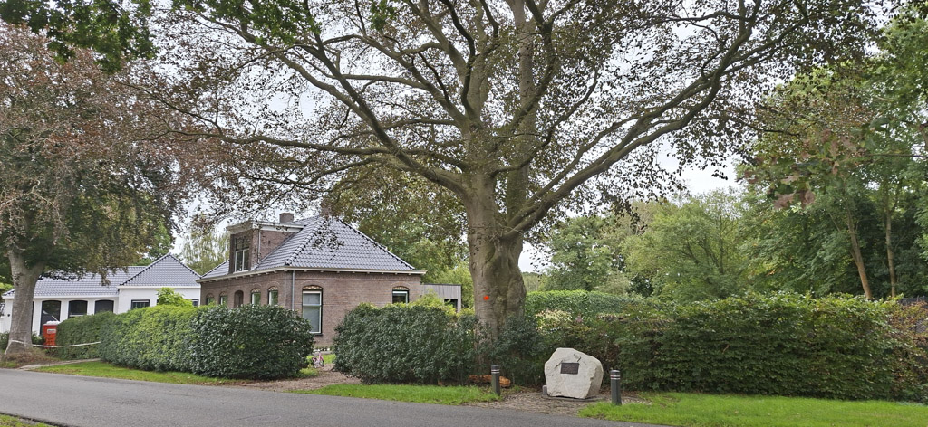 monumentale bomen